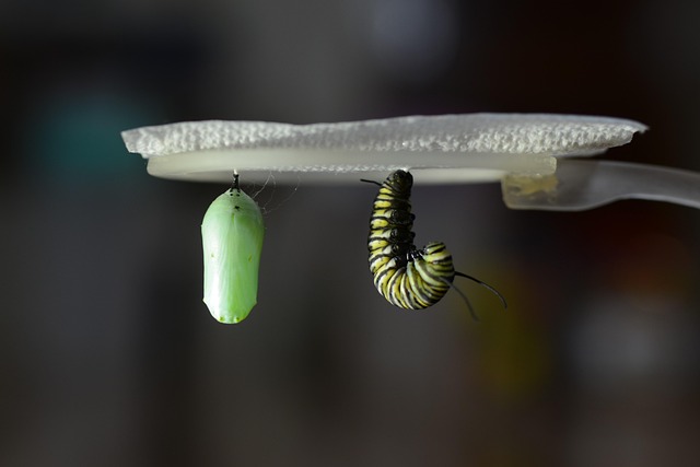 digital transformation